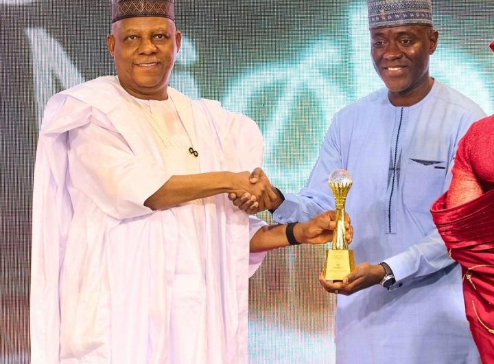 Vice President Kashim Shettima