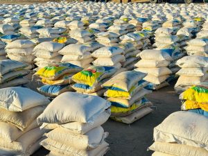 Zulum launches cash, food distribution to 4,000 households in Malam Fatori