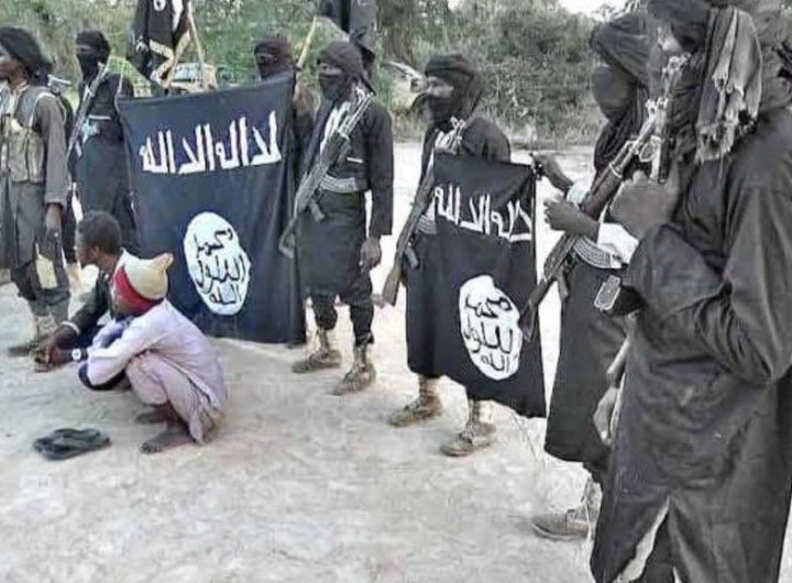 Boko Haram terrorists attack Borno State