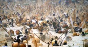 Argungu fishing festival