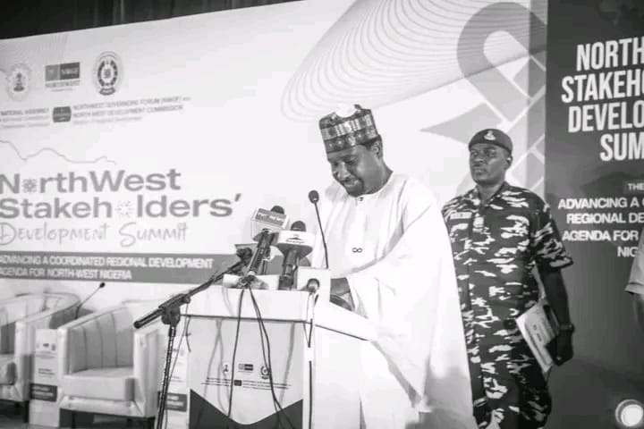 Barau, Hussaini call for coordinated economic rescue of North West