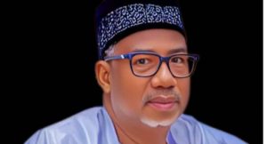 Bauchi Governor Bala Mohammed