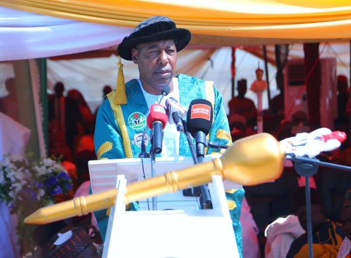 Borno State Governor, Babagana Zulum .