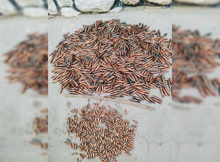 Borno police recover 912 rounds of ammunition