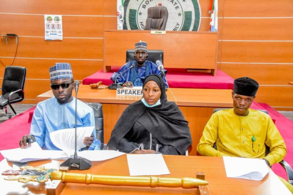 Borno Youth Parliament calls for urgent action to address Gender-Based Violence