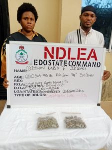 NDLEA arrests drug suspects