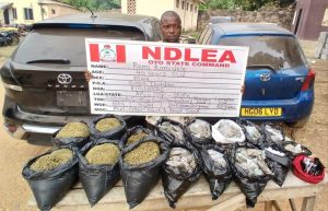 NDLEA arrests drug suspects