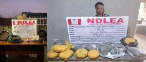 NDLEA recovers illicit drugs from Edo hideout, nabs ex-convict, female online vendor, others