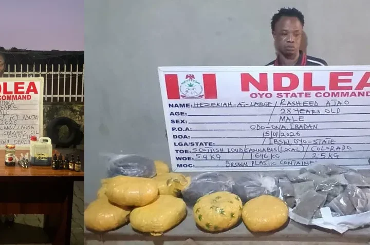 NDLEA recovers illicit drugs from Edo hideout, nabs ex-convict, female online vendor, others