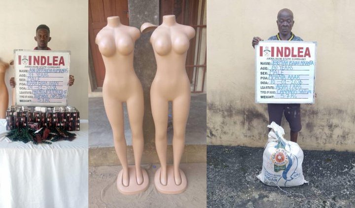 80-year old ex-convict arrested as NDLEA uncovers illicit drugs in full body mannequins