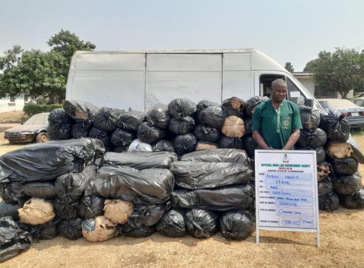 NDLEA seizes bags of explosives heading to Kano, Kaduna