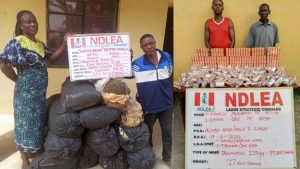 NDLEA nabs drug trafficking suspects