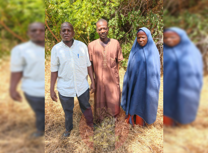 Troops neutralize terrorists, rescue hostages in Borno