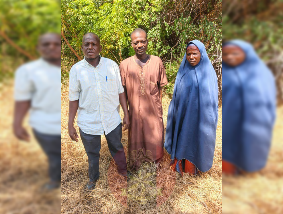 Troops neutralize terrorists, rescue hostages in Borno