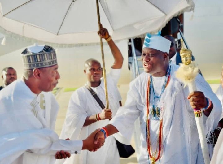 You are truly a reformer, Ooni of Ife lauds Governor Zulum