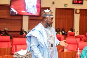Senator Aminu Iya Abbas