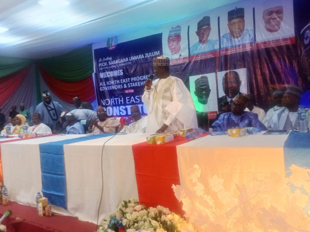 Borno speaker slams organisers for omitting Shettima’s photo at APC constitutional review meeting in Maiduguri