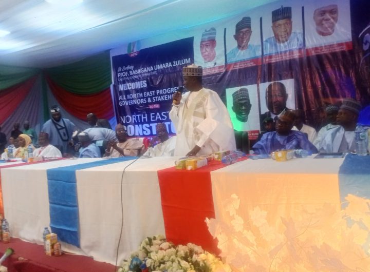 Borno speaker slams organisers for omitting Shettima’s photo at APC constitutional review meeting in Maiduguri