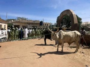 Zulum donates cows rice to nysc in borno