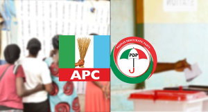 APC PDP election