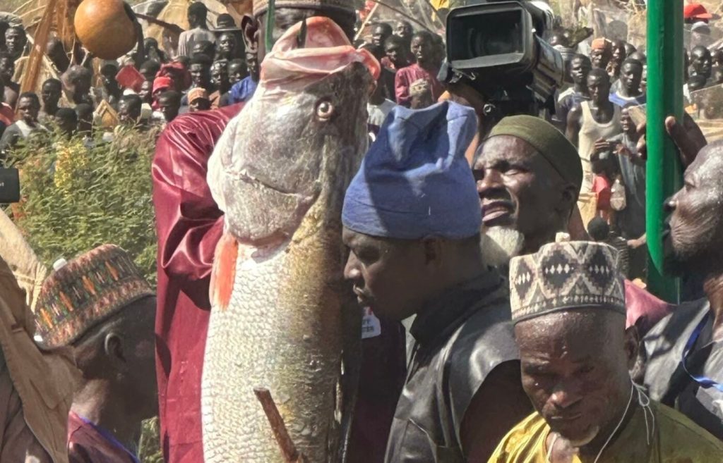 Tinubu: Argungu Fishing Festival shows return of stability, pledges stronger support for agriculture and tourism 6 Tinubu: Argungu Fishing Festival shows return of stability, pledges stronger support for agriculture and tourism