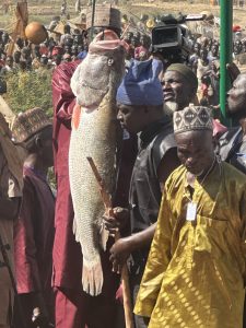 Tinubu: Argungu Fishing Festival shows return of stability, pledges stronger support for agriculture and tourism