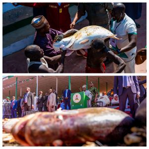 Tinubu: Argungu Fishing Festival shows return of stability, pledges stronger support for agriculture and tourism
