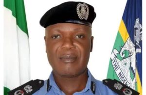 Benue State Commissioner of Police Ifeanyi Emenari
