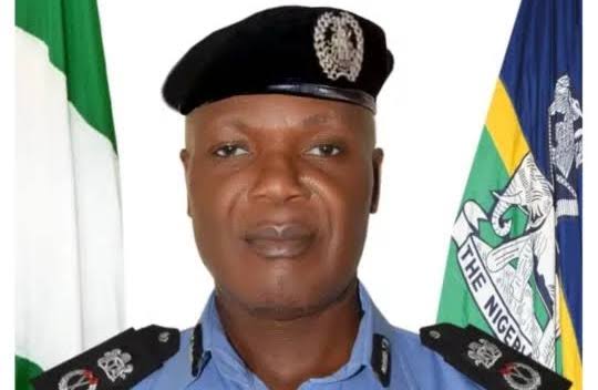 Benue State Commissioner of Police Ifeanyi Emenari