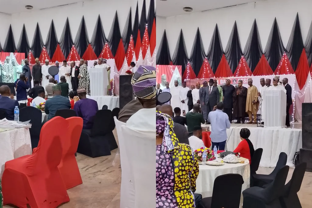 Daily Asset Awards 2025: Governors Mbah, Fintiri, Zacch Adedeji, others honoured for national impact