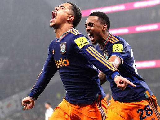 EPL: Tottenham suffer another home defeat as Newcastle win 2–1