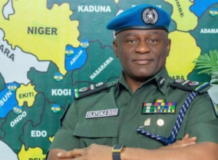 Acting IGP Olatunji Disu