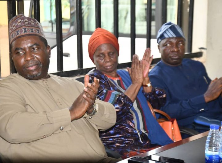INEC FCT election 1