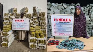 NDLEA busts woman with drugs in fake pregnancy as Ivorian excretes 82 cocaine wraps at Kano airport