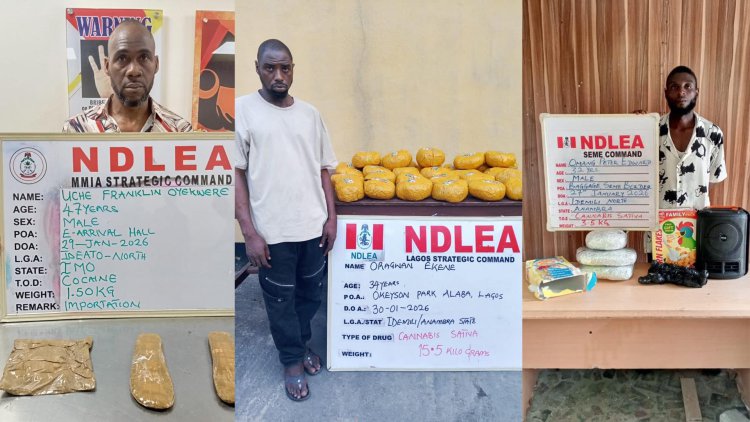NDLEA intercepts Brazil returnee with cocaine concealed in private part