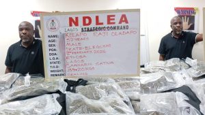 NDLEA busts woman with drugs in fake pregnancy as Ivorian excretes 82 cocaine wraps at Kano airport
