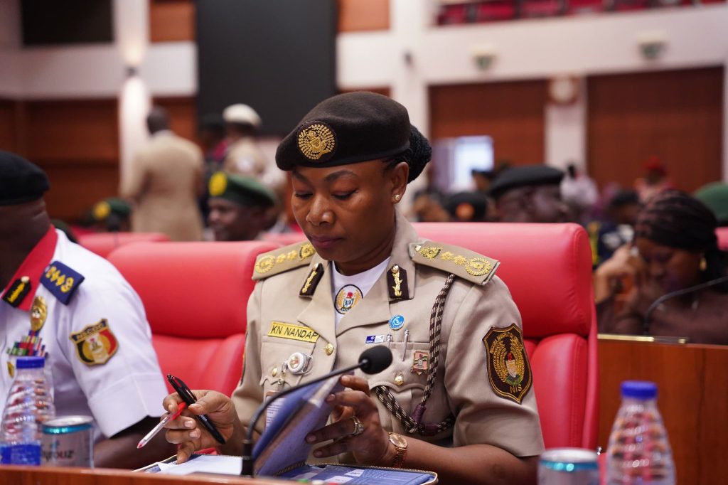 Comptroller-General of the Nigeria Immigration Service (NIS), DCG Kemi Nandap