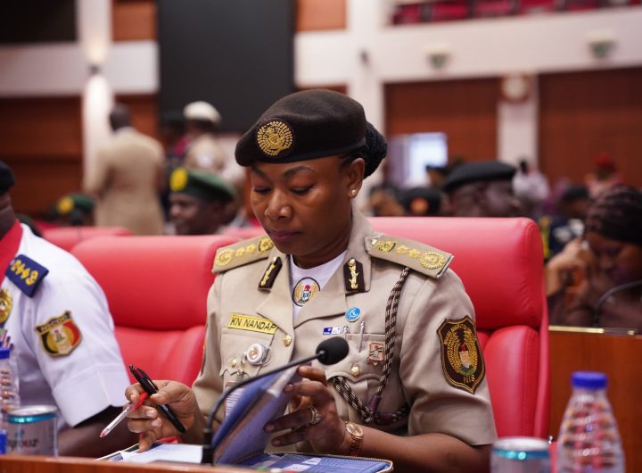 Comptroller-General of the Nigeria Immigration Service (NIS), DCG Kemi Nandap