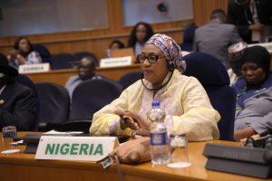 Nana Shettima at African First Lady summit