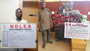 Ndlea