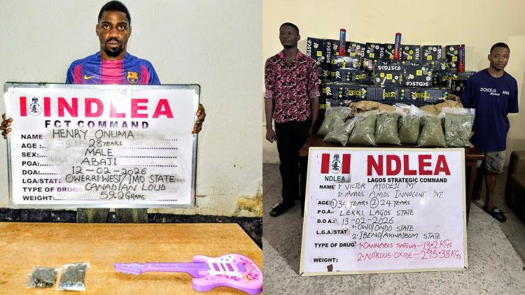 NDLEA arrests cocaine suspects