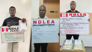 China-based businessman, 2 Angolans excrete 236 cocaine wraps at Kano, Abuja airports