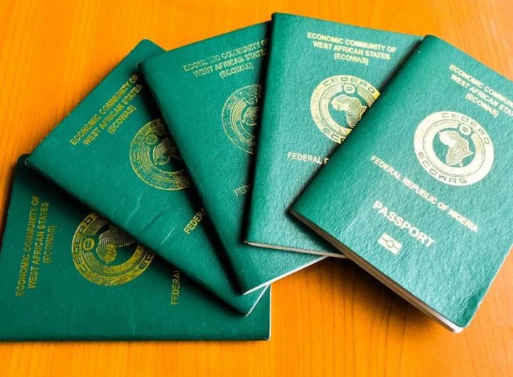 Nigeria Immigration Service NIS issues passports
