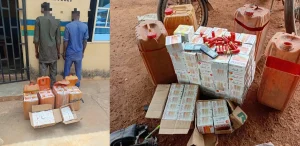 Oyo police bust transnational gun-running ring, recover 2,625 cartridges