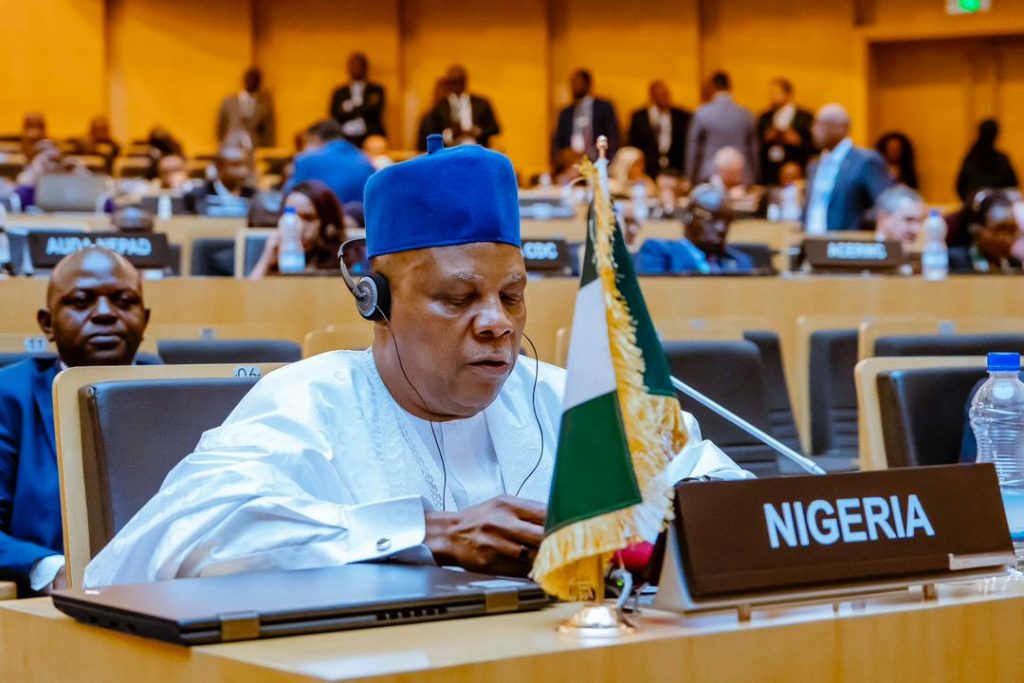 VP Kashim Shettima