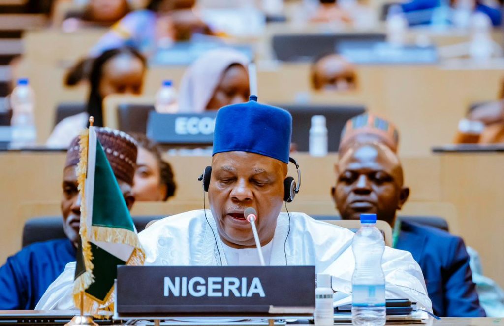 VP Kashim Shettima