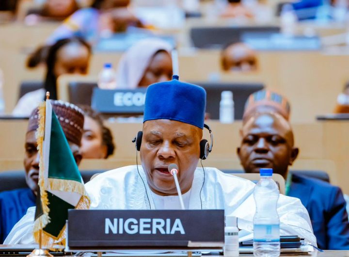 VP Kashim Shettima