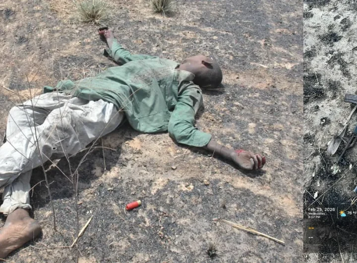 Troop eliminate Boko Haram terrorists.in Borno