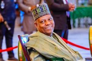 VP Kashim Shettima at NEC Conference in Abuja