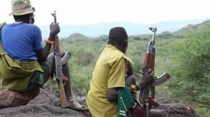 Gunmen bandits terrorists